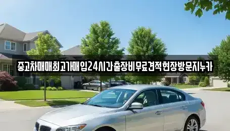 서울특별시 종로구 적선동 중고차 전문 중고차매매최고가매입24시간출장비무료견적현장방문지누카