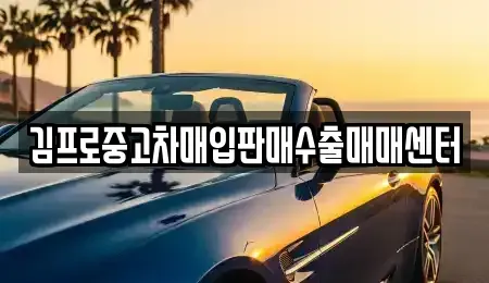 서울특별시 종로구 적선동 중고차매입 전문 김프로중고차매입판매수출매매센터