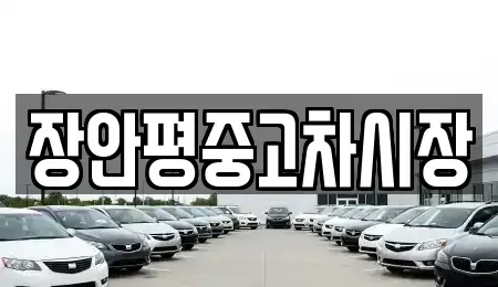 서울특별시 중구 북창동 중고차매매 전문 장안평중고차시장