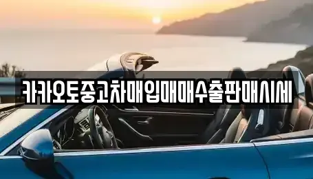 서울특별시 중구 북창동 중고차매입 전문 카카오토중고차매입매매수출판매시세