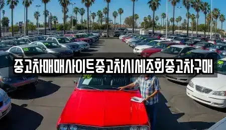 서울특별시 중구 정동 중고차매매 전문 중고차매매사이트중고차시세조회중고차구매