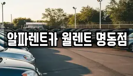 서울특별시 중구 주교동 렌트카 전문 알파렌트카 월렌트 명동점