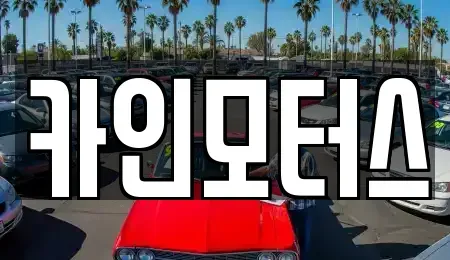 서울특별시 중구 주교동 중고차 전문 카인모터스