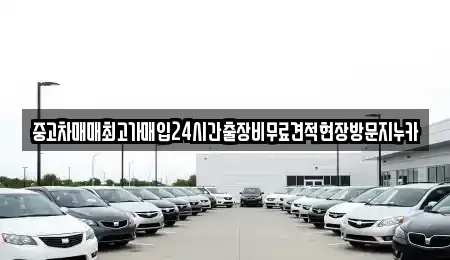 서울특별시 중구 주교동 중고차매입 전문 중고차매매최고가매입24시간출장비무료견적현장방문지누카