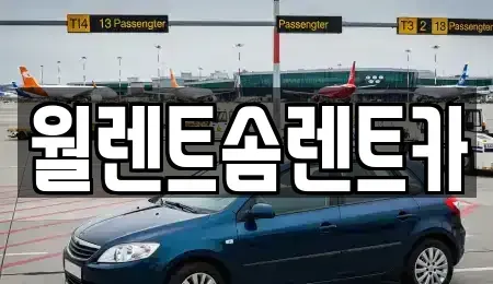 세종 소정면 렌트카 전문 월렌트솜렌트카