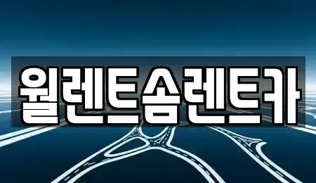 세종 소정면 렌트카 전문 월렌트솜렌트카