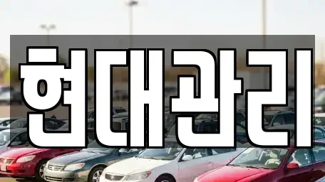 세종 소정면 렌트카 전문 현대관리