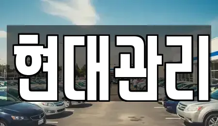 세종 소정면 렌트카 전문 현대관리