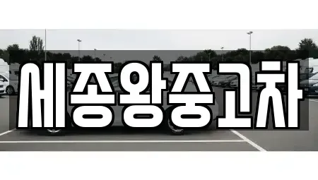 세종 소정면 중고차매매 전문 세종왕중고차