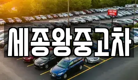 세종 소정면 중고차매매 전문 세종왕중고차