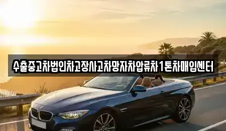 세종 소정면 중고차매매 전문 수출중고차법인차고장사고차망자차압류차1톤차매입센터
