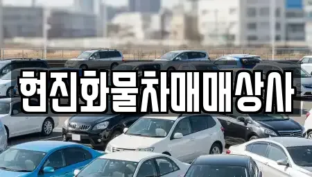 세종 소정면 중고차매매 전문 현진화물차매매상사
