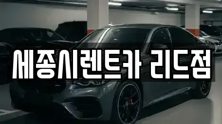세종특별자치시 연기면 렌트카 전문 세종시렌트카 리드점