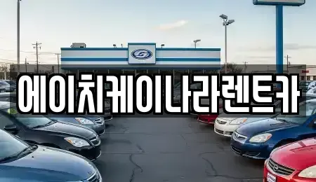 세종특별자치시 연기면 렌트카 전문 에이치케이나라렌트카
