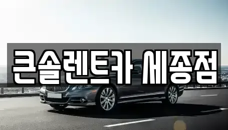 세종특별자치시 연기면 렌트카 전문 큰솔렌트카 세종점