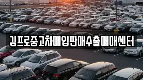 세종특별자치시 연기면 중고차 전문 김프로중고차매입판매수출매매센터