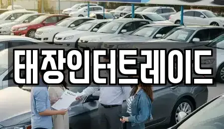 울산 남구 두왕동 중고차매매 전문 태장인터트레이드