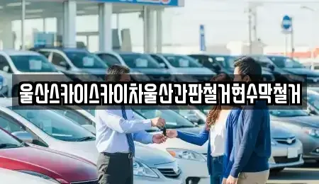 울산 남구 상개동 중고차 전문 울산스카이스카이차울산간판철거현수막철거