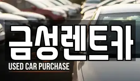 울산 남구 신정동 렌트카,단기렌트카,장기렌트카,중고차,중고차매매,중고차매입