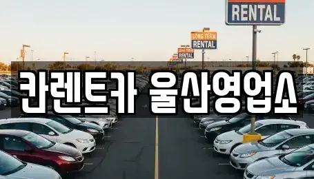 울산 남구 신정동 렌트카 전문 칸렌트카 울산영업소