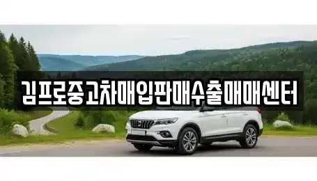 울산 남구 신정동 중고차 전문 김프로중고차매입판매수출매매센터