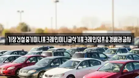 울산 남구 용연동 중고차 전문 기장건설중기미니포크레인미니굴삭기포크레인덤프조경배관공사
