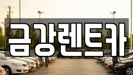 울산 북구 렌트카 전문 금강렌트카