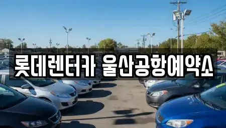 울산 북구 렌트카 전문 롯데렌터카 울산공항예약소
