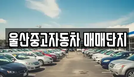 울산 북구 중고차 전문 울산중고자동차 매매단지