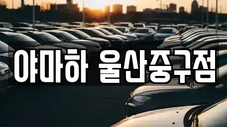 울산 중구 반구동 렌트카 전문 야마하 울산중구점