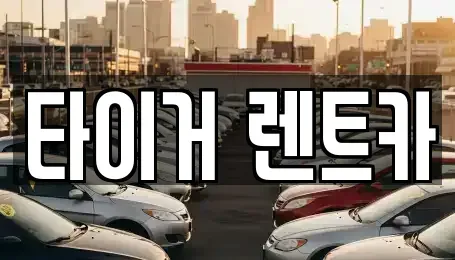 울산 중구 반구동 렌트카 전문 타이거 렌트카