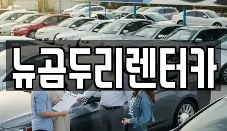 울산 중구 반구동 장기렌트카 전문 뉴곰두리렌터카