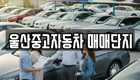 울산 중구 반구동 중고차 전문 울산중고자동차 매매단지