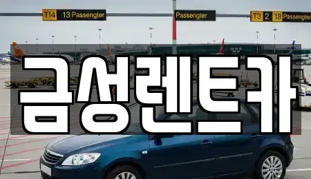 울산 중구 옥교동 렌트카 전문 금성렌트카