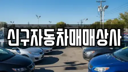 울산 중구 옥교동 중고차 전문 신구자동차매매상사