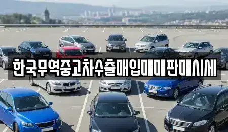 울산 중구 옥교동 중고차 전문 한국무역중고차수출매입매매판매시세