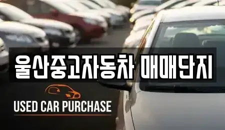 울산광역시 중구 동동 중고차 전문 울산중고자동차 매매단지