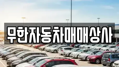 울산광역시 중구 동동 중고차매매 전문 무한자동차매매상사