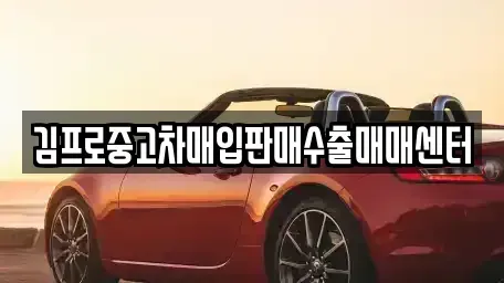 울산광역시 중구 북정동 중고차매매 전문 김프로중고차매입판매수출매매센터