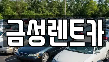 울산광역시 중구 옥교동 렌트카 전문 금성렌트카