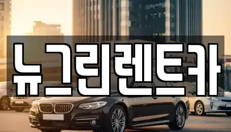 울산광역시 중구 옥교동 렌트카 전문 뉴그린렌트카