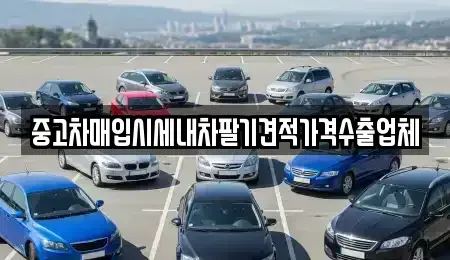 울산광역시 중구 옥교동 중고차매입 전문 중고차매입시세내차팔기견적가격수출업체