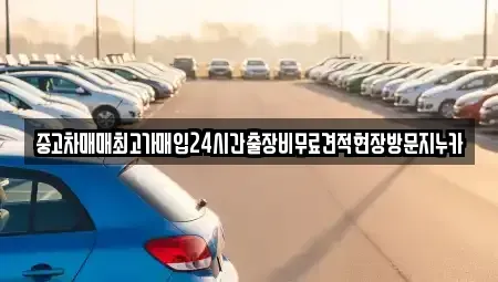 인천 강화군 불은면 중고차 전문 중고차매매최고가매입24시간출장비무료견적현장방문지누카