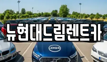 인천 계양구 둑실동 렌트카 전문 뉴현대드림렌트카