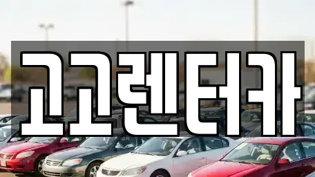 인천 서구 석남동 장기렌트카 전문 고고렌터카