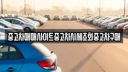 인천 서구 석남동 중고차매매 전문 중고차매매사이트중고차시세조회중고차구매