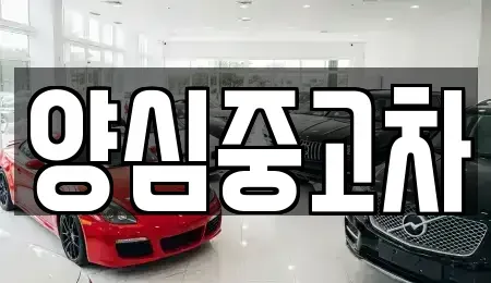 인천 서구 신현동 중고차매매 전문 양심중고차