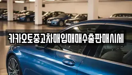 인천 중구 항동4가 중고차매매 전문 카카오토중고차매입매매수출판매시세