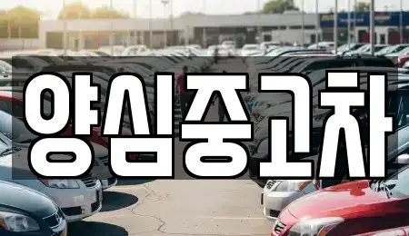 인천광역시 계양구 노오지동 중고차 전문 양심중고차
