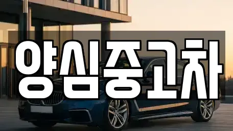 인천광역시 계양구 이화동 중고차 전문 양심중고차